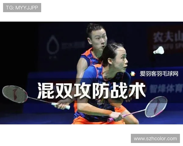 西安羽毛球队战术解析与对比分析的深度研究与探讨