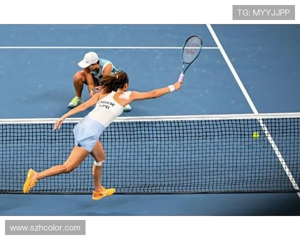 全面解读网球竞技:历史、规则与技术