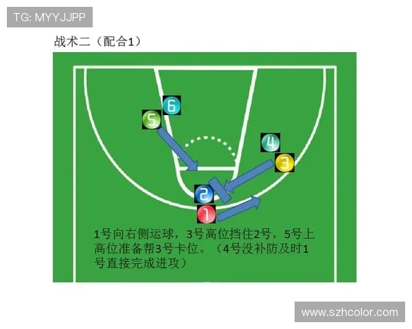 国王与老鹰谁更强大篮球对决解析与战术分析