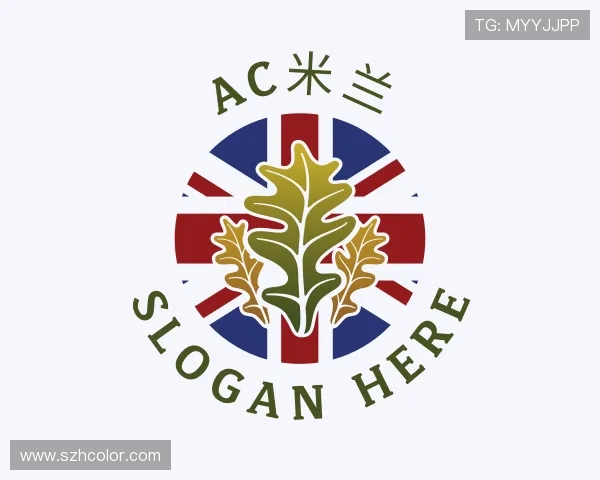 关于ac米兰官网